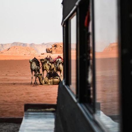 Desert Shine Camp Wadi Rum Eksteriør billede