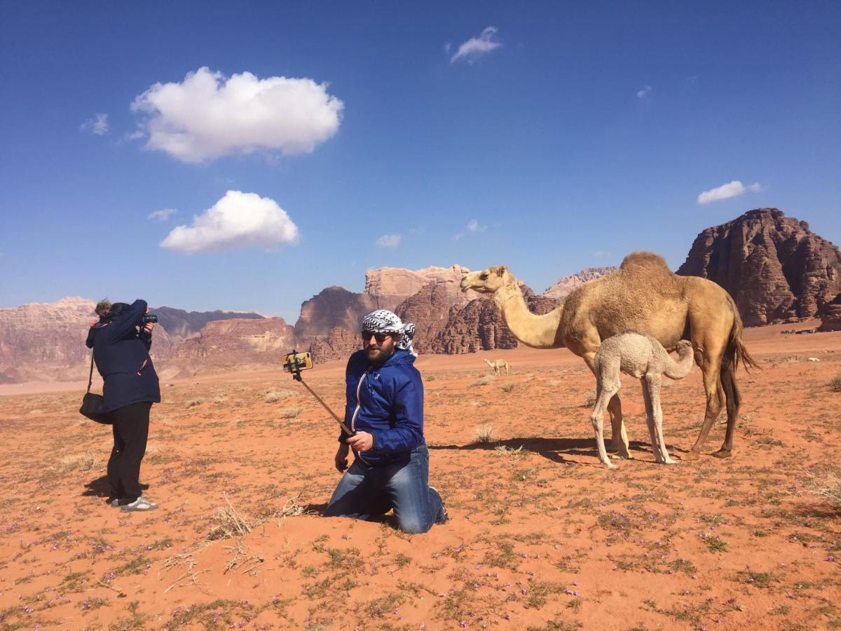 Desert Shine Camp Wadi Rum Eksteriør billede
