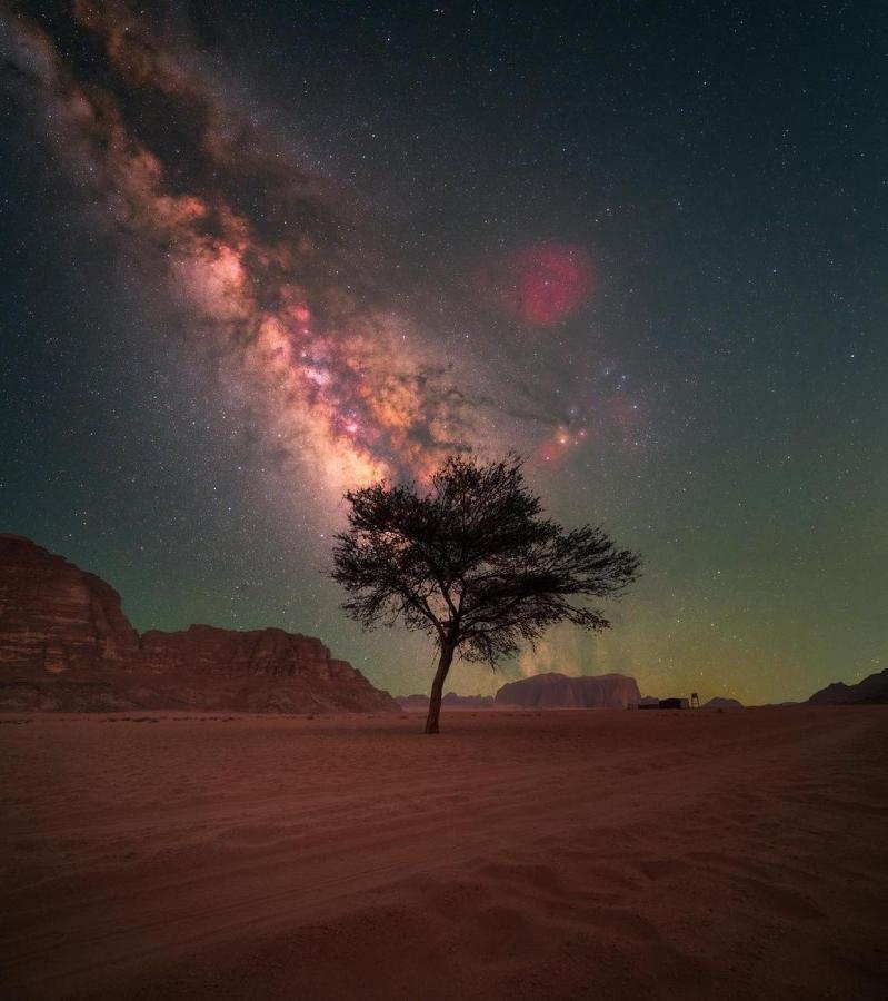 Desert Shine Camp Wadi Rum Eksteriør billede